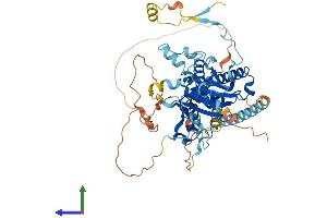 Protein Structure (PS) image for DDHD Domain Containing 1 (DDHD1) (AA 1-547) protein (His tag) (ABIN7558435)