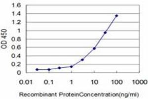 Detection limit for recombinant GST tagged IFI16 is approximately 0. (IFI16 Antikörper  (AA 630-729))