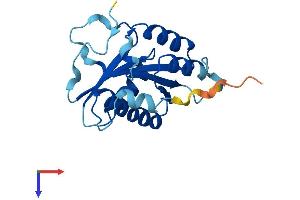 CENPM Protein (AA 1-180) (His tag)