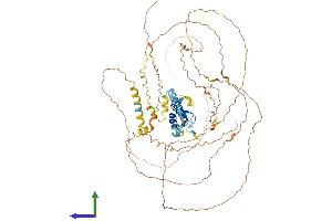Protein Structure (PS) image for Praja Ring Finger 1, E3 Ubiquitin Protein Ligase (PJA1) (AA 1-643) protein (His tag) (ABIN7550849)