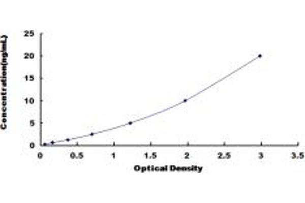 ABCC6 ELISA Kit