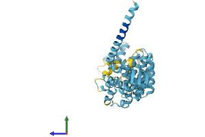 AlphaFold protein structure predicition of Mouse Recombinant Psmd13 Protein, UniprotID Q9WVJ2