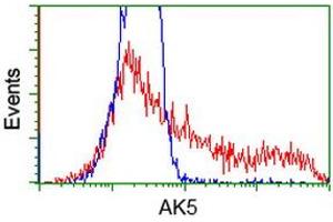 HEK293T cells transfected with either RC222241 overexpress plasmid (Red) or empty vector control plasmid (Blue) were immunostained by anti-AK5 antibody (ABIN2452721), and then analyzed by flow cytometry. (Adenylate Kinase 5 Antikörper)