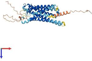 PTGER3 Protein (AA 1-390) (His tag)
