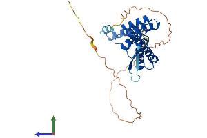AlphaFold protein structure predicition of Human Recombinant TTC1 Protein, UniprotID Q99614