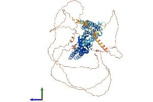 Protein Structure (PS) image for Potassium Voltage-Gated Channel, Shab-Related Subfamily, Member 1 (KCNB1) (AA 1-857) protein (His tag) (ABIN7563592)
