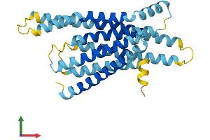 AlphaFold protein structure predicition of Human Recombinant TAS2R16 Protein, UniprotID Q9NYV7