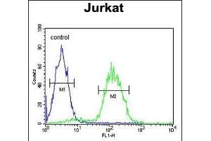CD34 Antibody (Center) (ABIN654623 and ABIN2844320) flow cytometric analysis of Jurkat cells (right histogram) compared to a negative control cell (left histogram). (CD34 Antikörper  (AA 185-212))