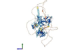 PAXIP1 Protein (AA 1-1069) (His tag)