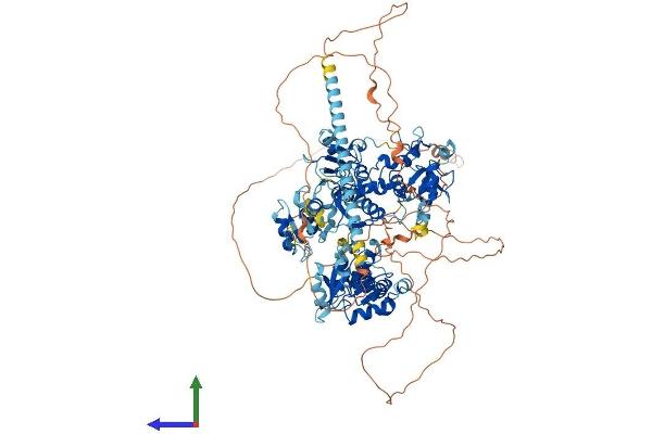 PAXIP1 Protein (AA 1-1069) (His tag)