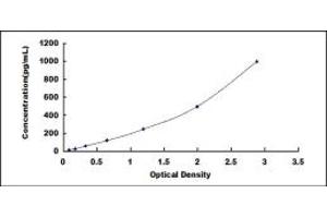 Typical standard curve (Thymic Stromal Lymphopoietin ELISA Kit)