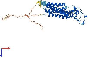 PPAP2B Protein (AA 1-311) (His tag)