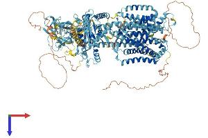 PTCHD2 Protein (AA 1-1347) (His tag)