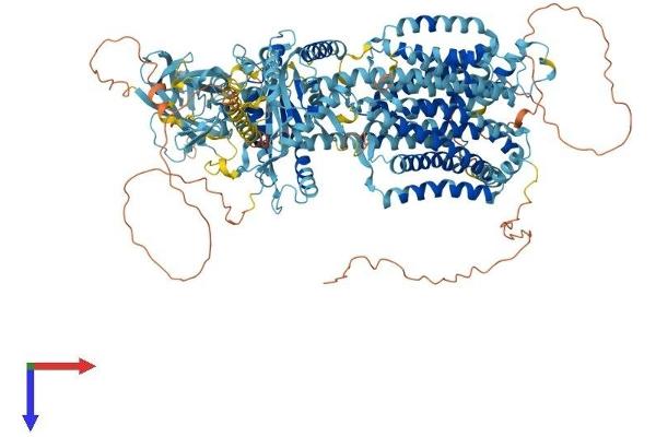 PTCHD2 Protein (AA 1-1347) (His tag)