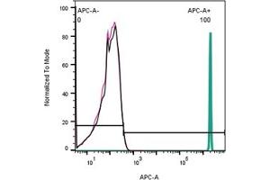 Direct flow cytometry of α-Bungarotoxin in derived extracellular vesicles (EVs).