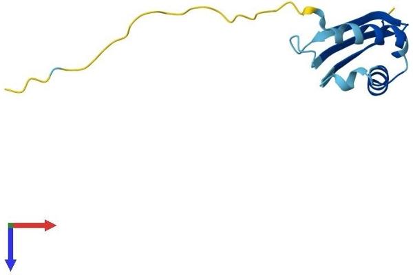 BOLA3 Protein (AA 1-107) (His tag)