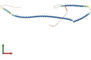 AlphaFold protein structure predicition of Human Recombinant SYCE1 Protein, UniprotID Q8N0S2