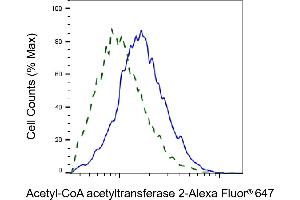 Validation of Acetyl-CoA acetyltransferase 2 knockdown using flow cytometry. (Rekombinanter ACAT2 Antikörper)