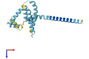 REEP5 Protein (AA 1-189) (His tag)