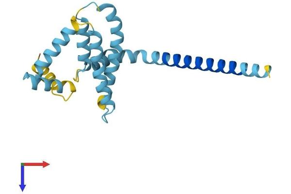 REEP5 Protein (AA 1-189) (His tag)