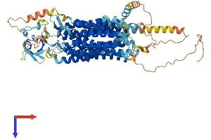 SLCO1C1 Protein (AA 1-715) (His tag)
