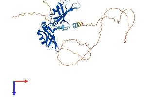 HNRNPA2B1 Protein (AA 1-353) (His tag)