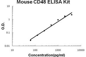 Mouse CD48 PicoKine ELISA Kit standard curve (CD48 ELISA Kit)