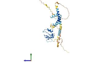 Protein Structure (PS) image for HLA-DR-gamma (CD74) (AA 1-296) protein (His tag) (ABIN7548297)