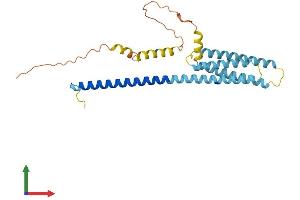 HVCN1 Protein (AA 1-269) (His tag)