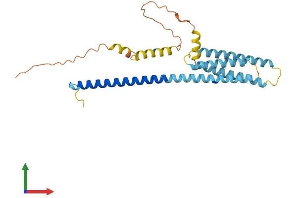 HVCN1 Protein (AA 1-269) (His tag)