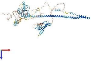 TRIM42 Protein (AA 1-723) (His tag)