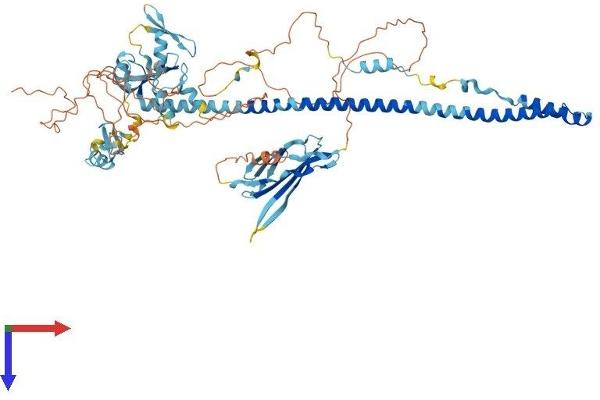 TRIM42 Protein (AA 1-723) (His tag)