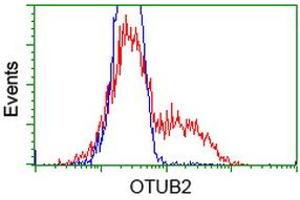 Flow Cytometry (FACS) image for anti-OTU Domain, Ubiquitin Aldehyde Binding 2 (OTUB2) antibody (ABIN1499937)