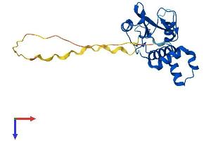 SOCS1 Protein (AA 1-211) (His tag)