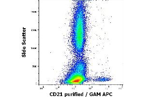 Flow cytometry surface staining pattern of human peripheral whole blood stained using anti-human CD21 (LT21) purified antibody (concentration in sample 1 μg/mL) GAM APC. (CD21 Antikörper)