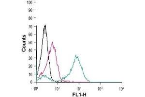 Cell surface detection of CD97/ADGRE5 in live intact human THP-1 monocytic leukemia cells: (black line) Cells. (ADGRE5 (AA 499-512), (Extracellular) Antikörper)