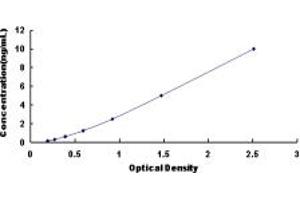 Typical standard curve (beta 2 Adrenergic Receptor ELISA Kit)