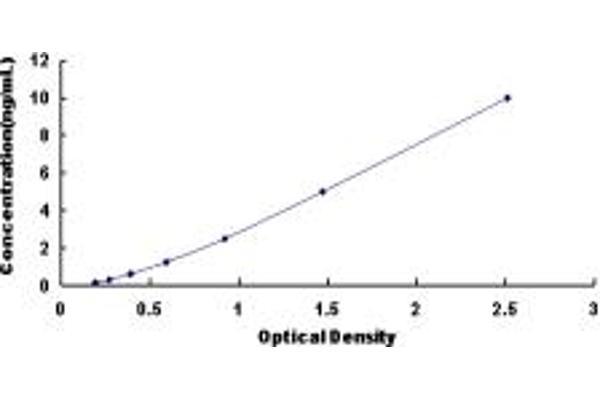 beta 2 Adrenergic Receptor ELISA Kit