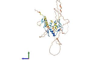 Protein Structure (PS) image for IKAROS Family Zinc Finger 5 (Pegasus) (IKZF5) (AA 1-419) protein (His tag) (ABIN7548476)