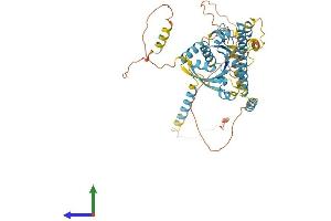 Protein Structure (PS) image for Dynein, Cytoplasmic 1, Light Intermediate Chain 2 (DYNC1LI2) (AA 1-492) protein (His tag) (ABIN7547028)