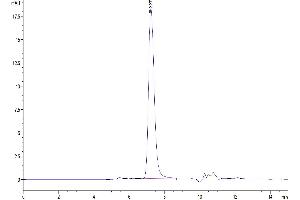 Size-exclusion chromatography-High Pressure Liquid Chromatography (SEC-HPLC) image for CD274 (PD-L1) (AA 19-238) protein (His tag) (ABIN7275429)