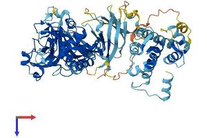 CAPN13 Protein (AA 1-665) (His tag)