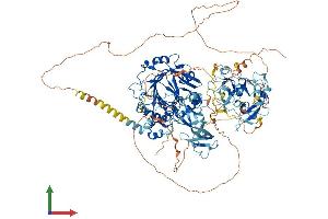 Protein Structure (PS) image for Lysine (K)-Specific Demethylase 4B (KDM4B) (AA 1-1086) protein (His tag) (ABIN7564789)