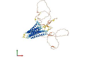 Protein Structure (PS) image for G Protein-Coupled Receptor 123 (GPR123) (AA 1-560) protein (His tag) (ABIN7552073)
