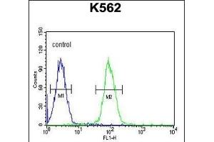 Flow Cytometry (FACS) image for anti-Aldo-Keto Reductase Family 1, Member C3 (3-alpha Hydroxysteroid Dehydrogenase, Type II) (AKR1C3) (AA 10-36), (N-Term) antibody (ABIN654117)
