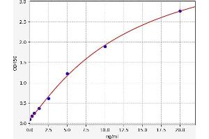 MFAP4 ELISA Kit