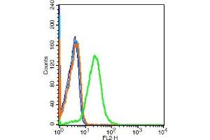 Mouse kidney cells probed with 	GPR110 Polyclonal Antibody, Unconjugated  at 1:100 for 30 minutes followed by incubation with a conjugated secondary -PE) (green) for 30 minutes compared to control cells (blue), secondary only (light blue) and isotype control (orange). (G Protein-Coupled Receptor 110 Antikörper  (AA 51-150))