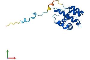 AlphaFold protein structure predicition of Mouse Recombinant Arpc5l Protein, UniprotID Q9D898