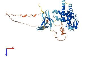 MORF4L1 Protein (AA 1-362) (His tag)