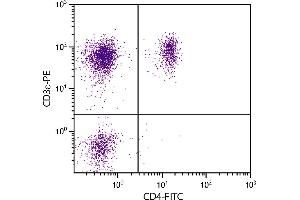 Porcine peripheral blood lymphocytes were stained with Mouse Anti-Porcine CD3ε-PE. (CD3 epsilon Antikörper  (FITC))